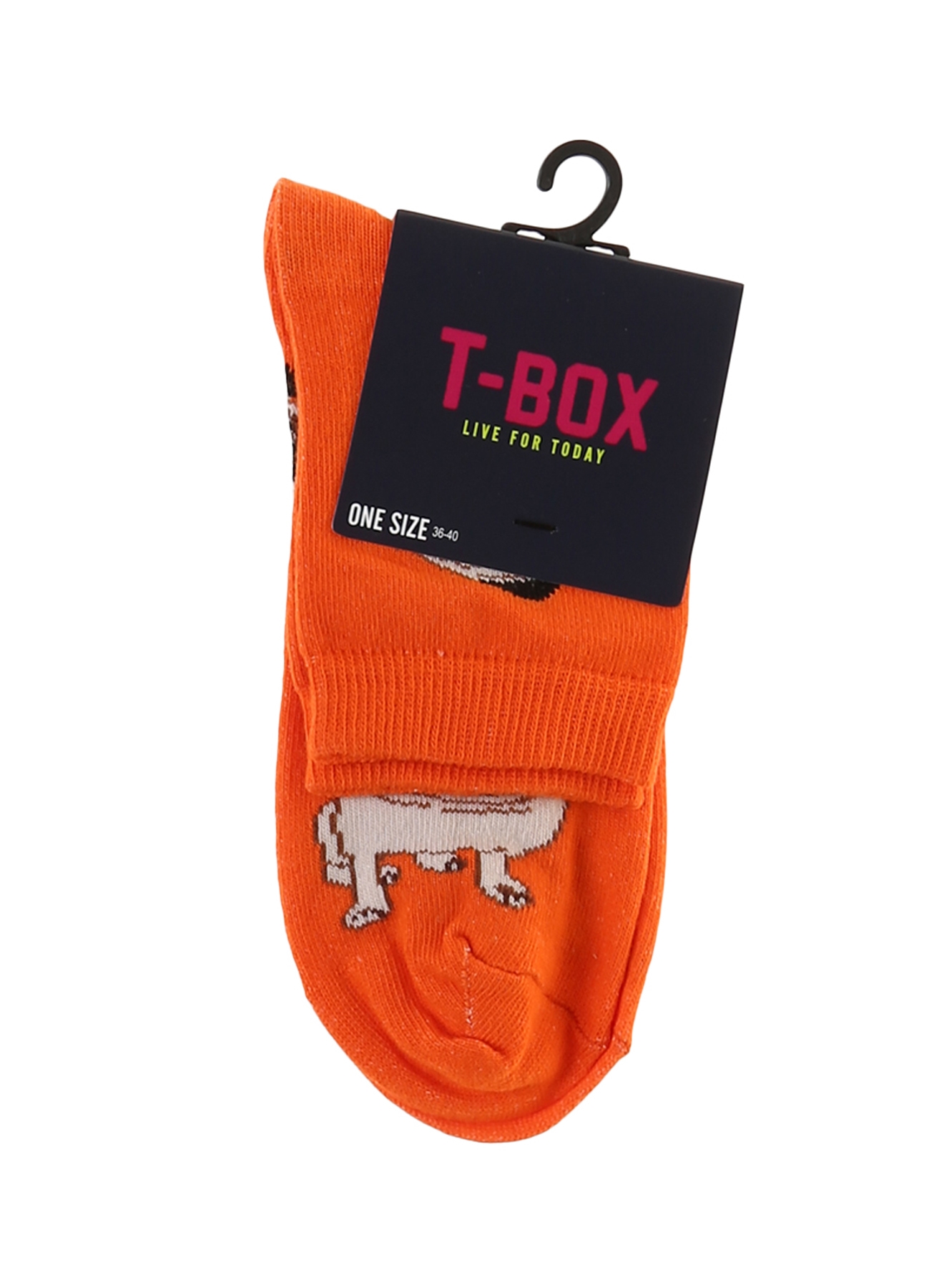 T-Box Köpek Desenli Soket Soket Çorap 5000194541001 Ürün Resmi